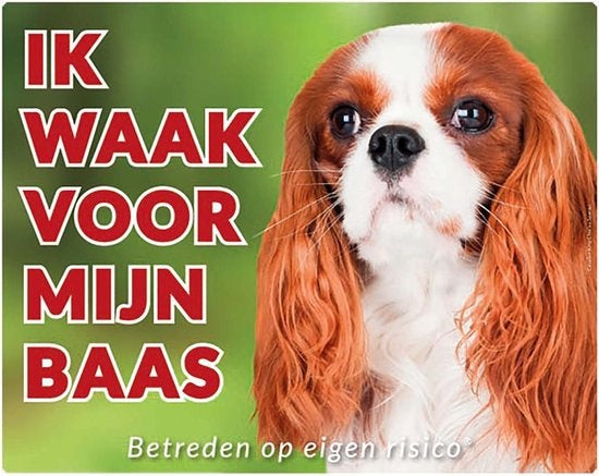 Stickerkoning Cavalier King Charles Spaniel Waakbord - Ik waak voor mijn Baas