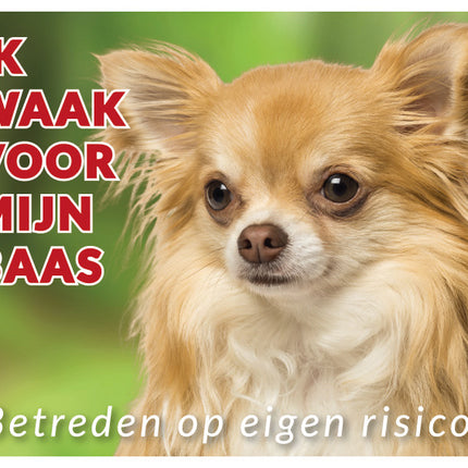 Stickerkoning Chihuahua Langhaar Blond Waakbord
