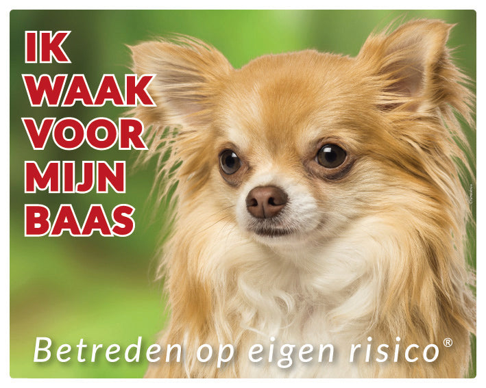 Stickerkoning Chihuahua Langhaar Blond Waakbord