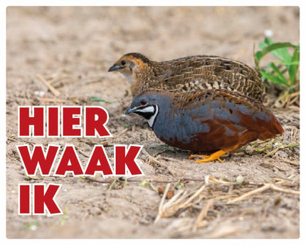 Stickerkoning Chinese Dwergkwartel Waakbord - Hier Waak Ik