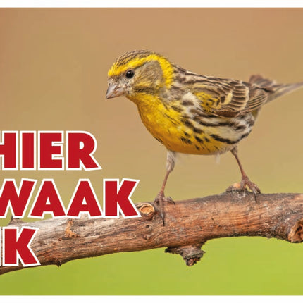 Stickerkoning Europese Kanarie Waakbord - Hier Waak Ik