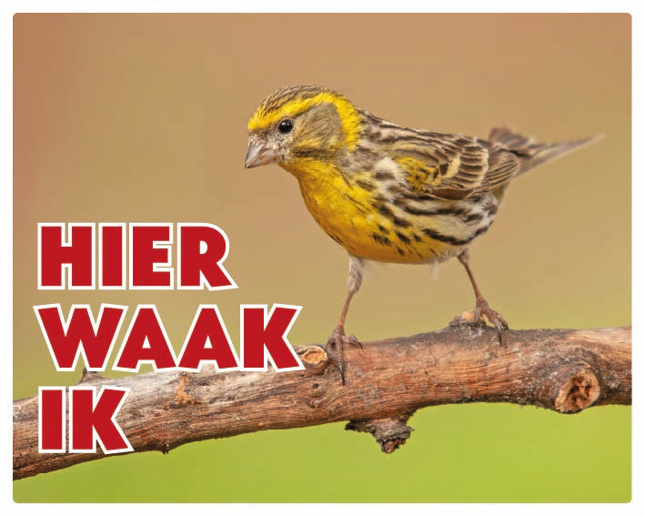 Stickerkoning Europese Kanarie Waakbord - Hier Waak Ik