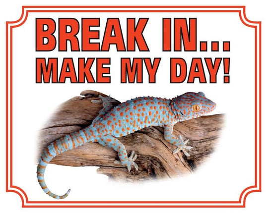 Stickerkoning Gekko Waakbord - Break in make my day