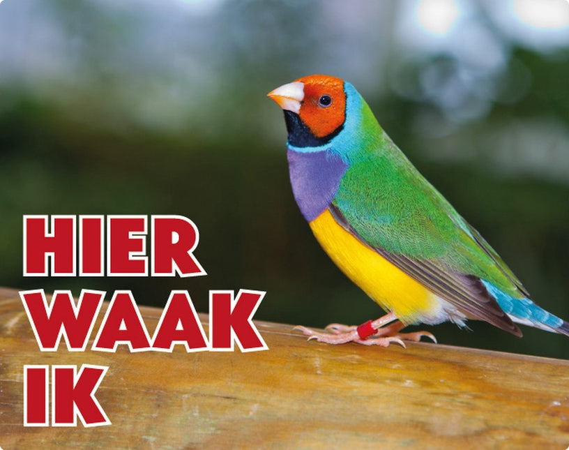 Stickerkoning Gouldamadine Waakbord