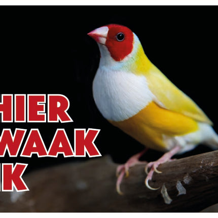 Stickerkoning Gouldamadine Waakbord