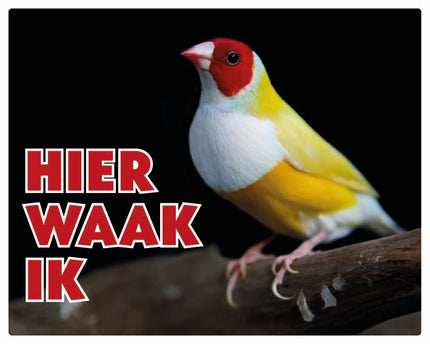 Stickerkoning Gouldamadine Waakbord