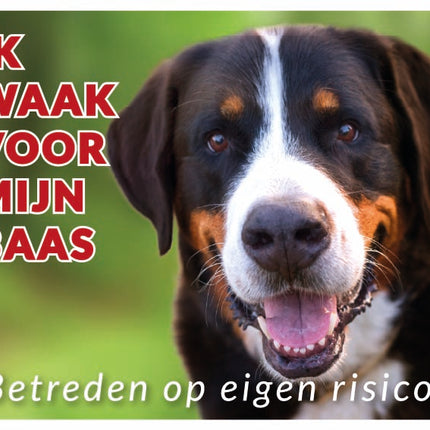Stickerkoning Grote Zwitserse Senne Waakbord