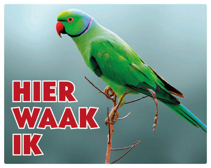 Stickerkoning Halsbandparkiet Waakbord - Hier Waak Ik