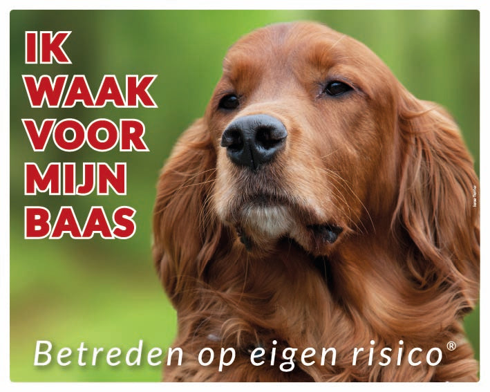 Stickerkoning Ierse Setter Waakbord