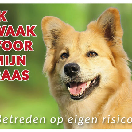 Stickerkoning IJslandse Hond Waakbord