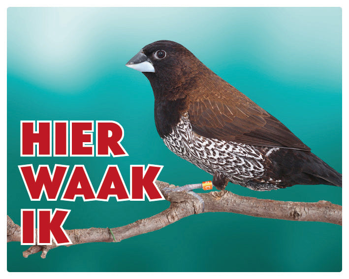 Stickerkoning Japanse Meeuw Waakbord - Hier Waak Ik