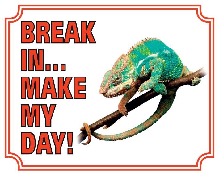 Stickerkoning Kameleon Waakbord - Break in make my day