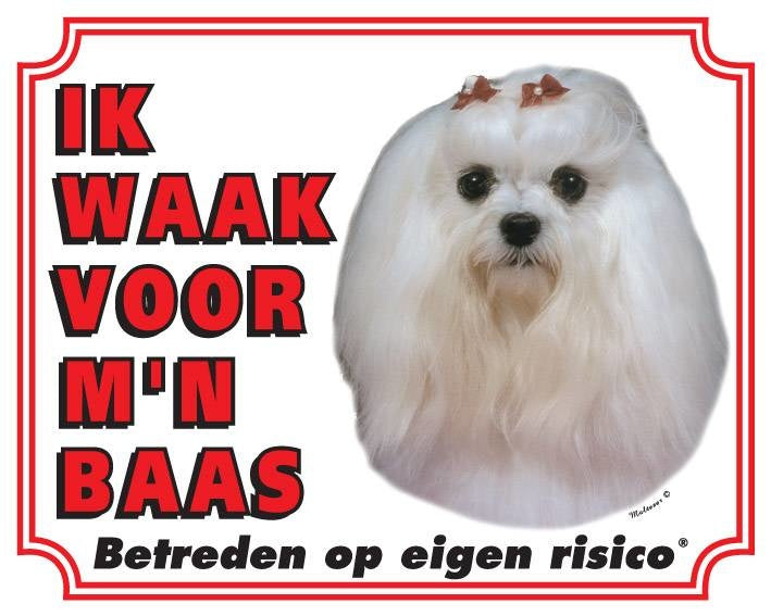 Stickerkoning Maltezer Waakbord - Ik waak voor mijn baas