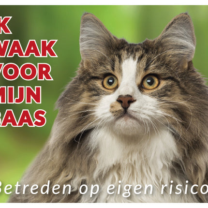 Stickerkoning Noorse Boskat Waakbord