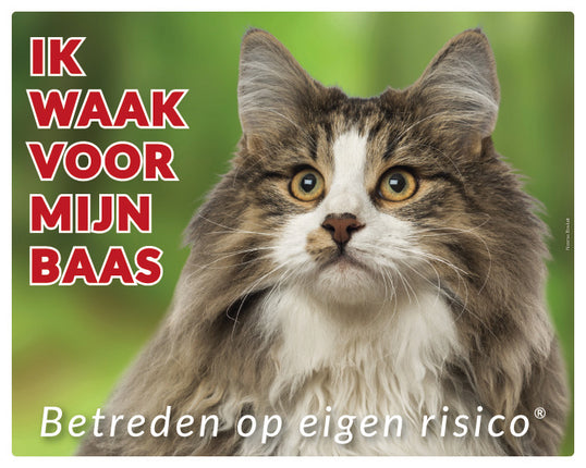 Stickerkoning Noorse Boskat Waakbord