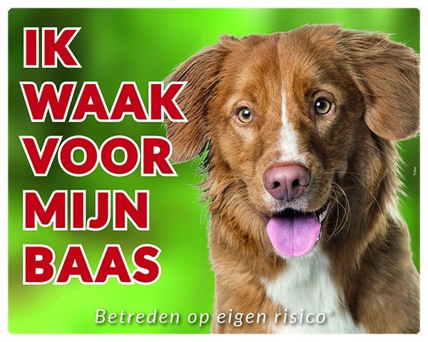 Stickerkoning Nova Scotia Duck Tolling Retriever Waakbord