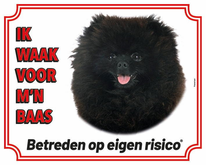 Stickerkoning Pomeriaan Zwart Waakbord