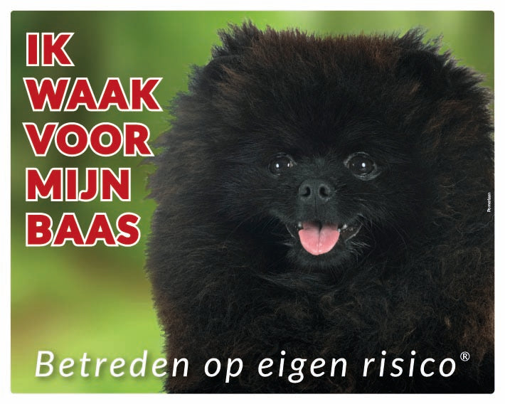 Stickerkoning Pomeriaan Zwart Waakbord