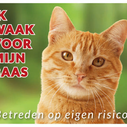 Stickerkoning Rode Katten Waakbord
