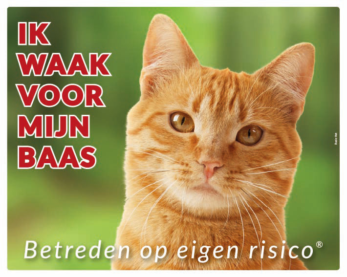 Stickerkoning Rode Katten Waakbord