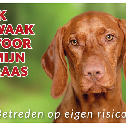 Stickerkoning Vizsla Waakbord