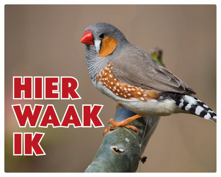 Stickerkoning Zebravink Waakbord - Hier Waak Ik