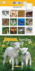 Animal Families