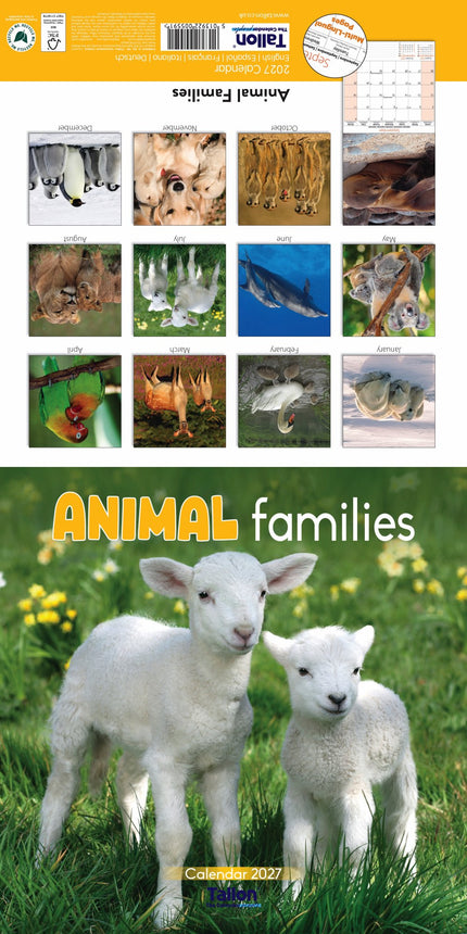 Tallon Animal Families, Cute & Fluffy Kalender 2027