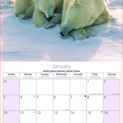 Tallon Animal Families, Cute & Fluffy Kalender 2027
