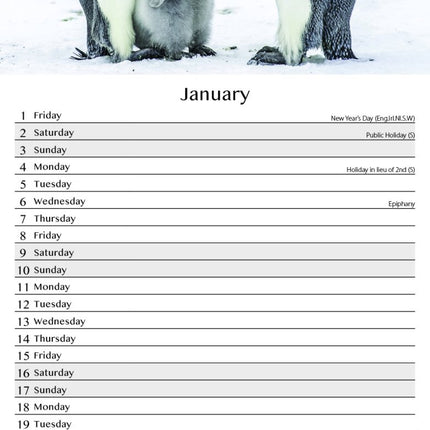Tallon Animals Kalender 2027 Slimline