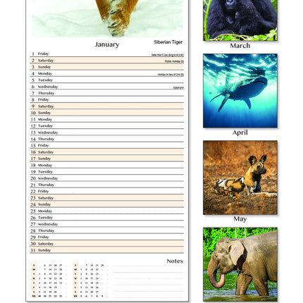 Tallon Animals Kalender 2027 Slimline