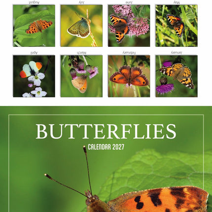 Tallon Bees and Butterflies Kalender 2027