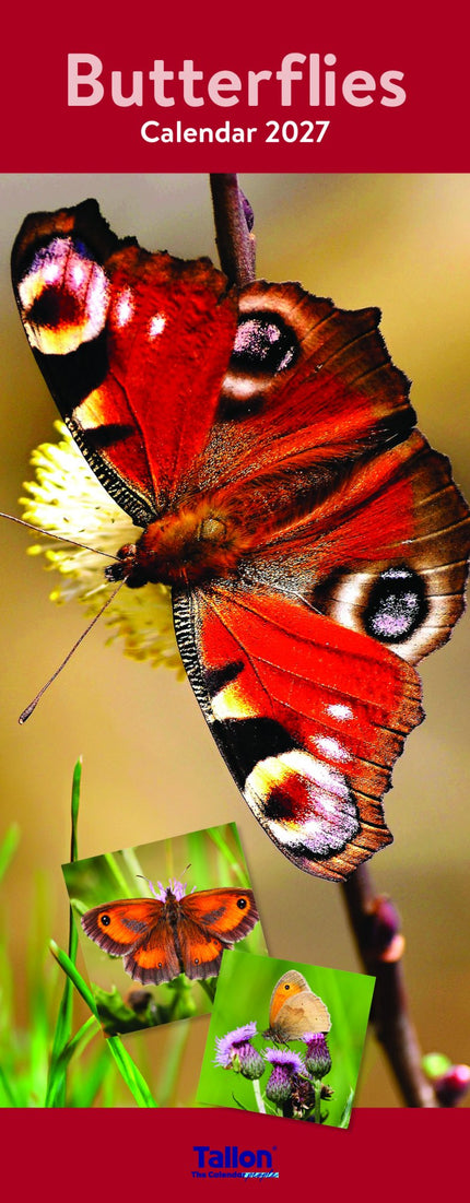 Tallon Bees & Butterflies Kalender 2027 Slimline