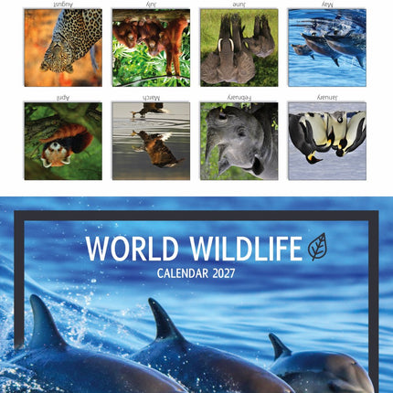 Tallon Big Cats, Animals & W Wildlife Kalender 2027