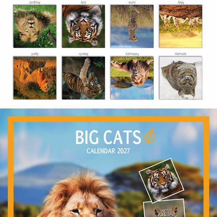 Tallon Big Cats, Animals & W Wildlife Kalender 2027