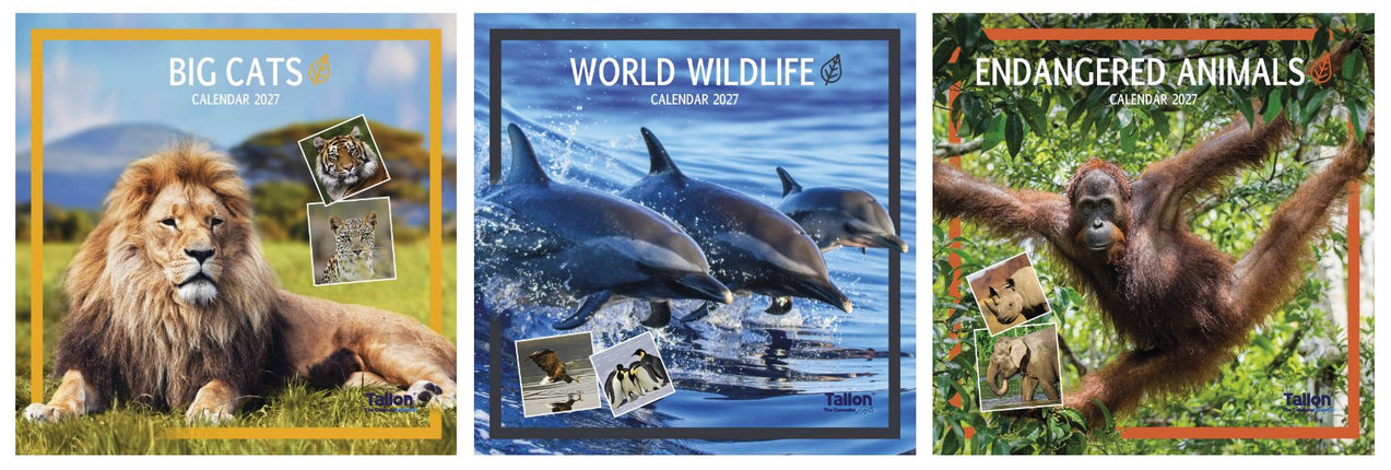 Tallon Big Cats, Animals & W Wildlife Kalender 2027