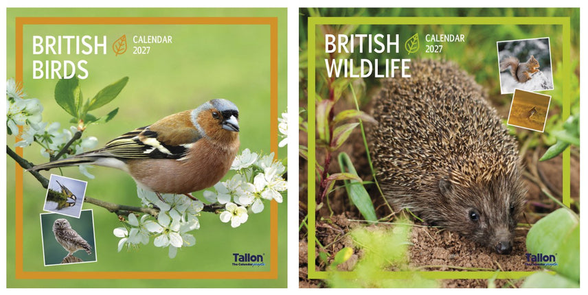 Tallon Birds & Wildlife Kalender 2027