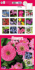 Fiori