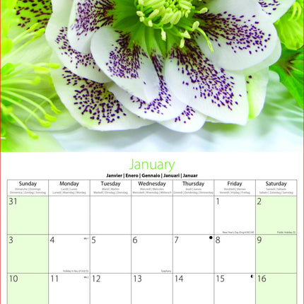 Tallon Bouquets, Flowers & Gardens Kalender 2027