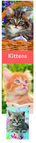 Chatons