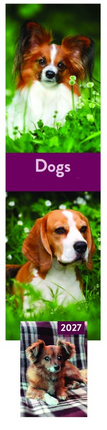 Tallon Cats, Dogs, Kittens, Puppies Kalender en Agenda 2027