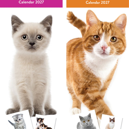 Tallon Cats & Kittens Kalender 2027 Slimline