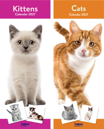 Tallon Cats & Kittens Kalender 2027 Slimline