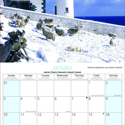 Tallon Coasts, Cottages & Scenes Kalender 2027