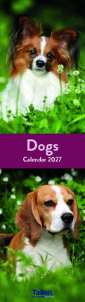 Tallon Diversen Kalender 2027 Slimline