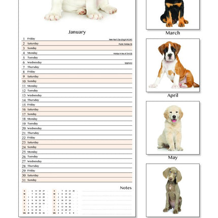 Tallon Dogs and Puppies Kalender 2027 Slimline