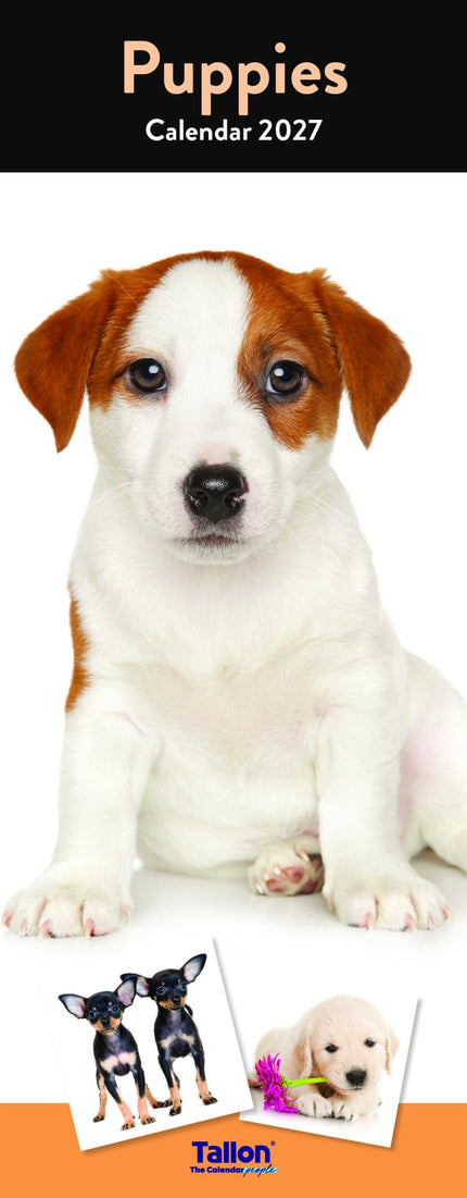 Tallon Dogs and Puppies Kalender 2027 Slimline