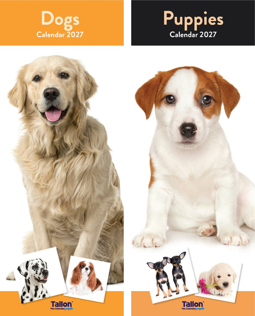 Tallon Dogs and Puppies Kalender 2027 Slimline