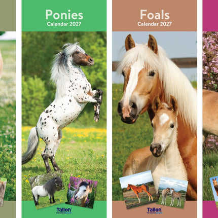 Tallon Donkey, Foal, Horse, Pony Kalender 2027 Slimline