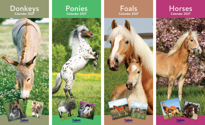 Tallon Donkey, Foal, Horse, Pony Kalender 2027 Slimline